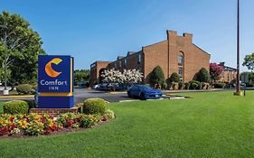 Comfort Inn Newport News - Hampton I-64